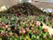 IMG-20180424-WA0056