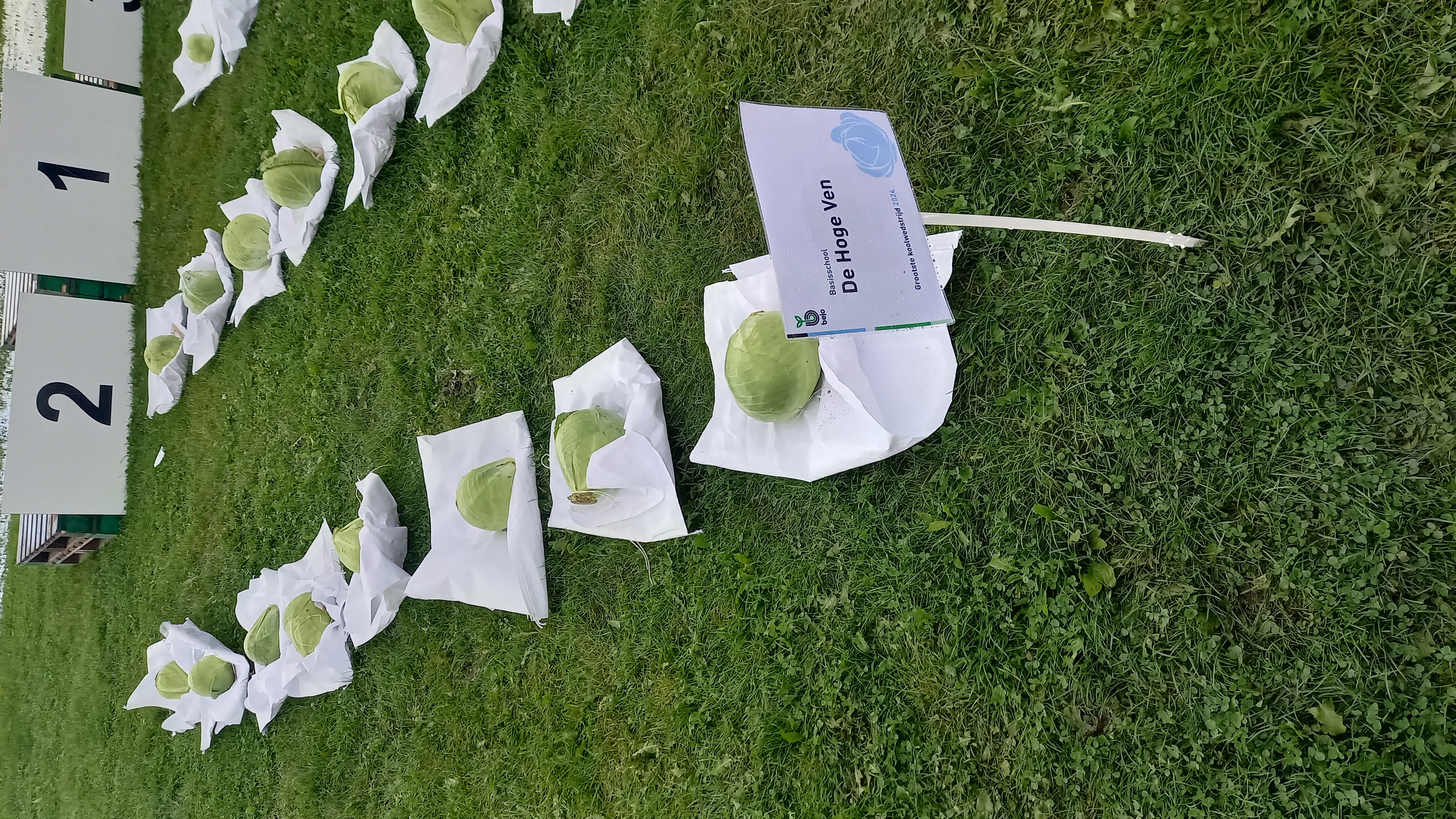 De grootste kolen wedstrijd